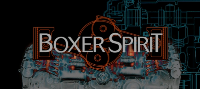 Espíritu boxer